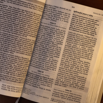 Bíblia De Estudo Joyce Meyer | NVI | Letra Grande | Capa Cinza