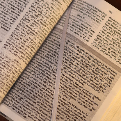 Bíblia De Estudo Joyce Meyer | NVI | Letra Grande | Capa Cinza
