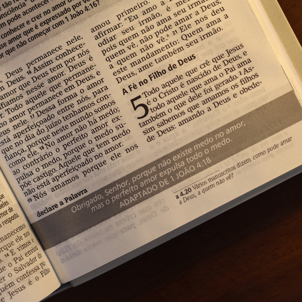 Bíblia De Estudo Joyce Meyer | NVI | Letra Grande | Capa Cinza