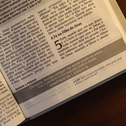 Bíblia De Estudo Joyce Meyer | NVI | Letra Grande | Capa Cinza