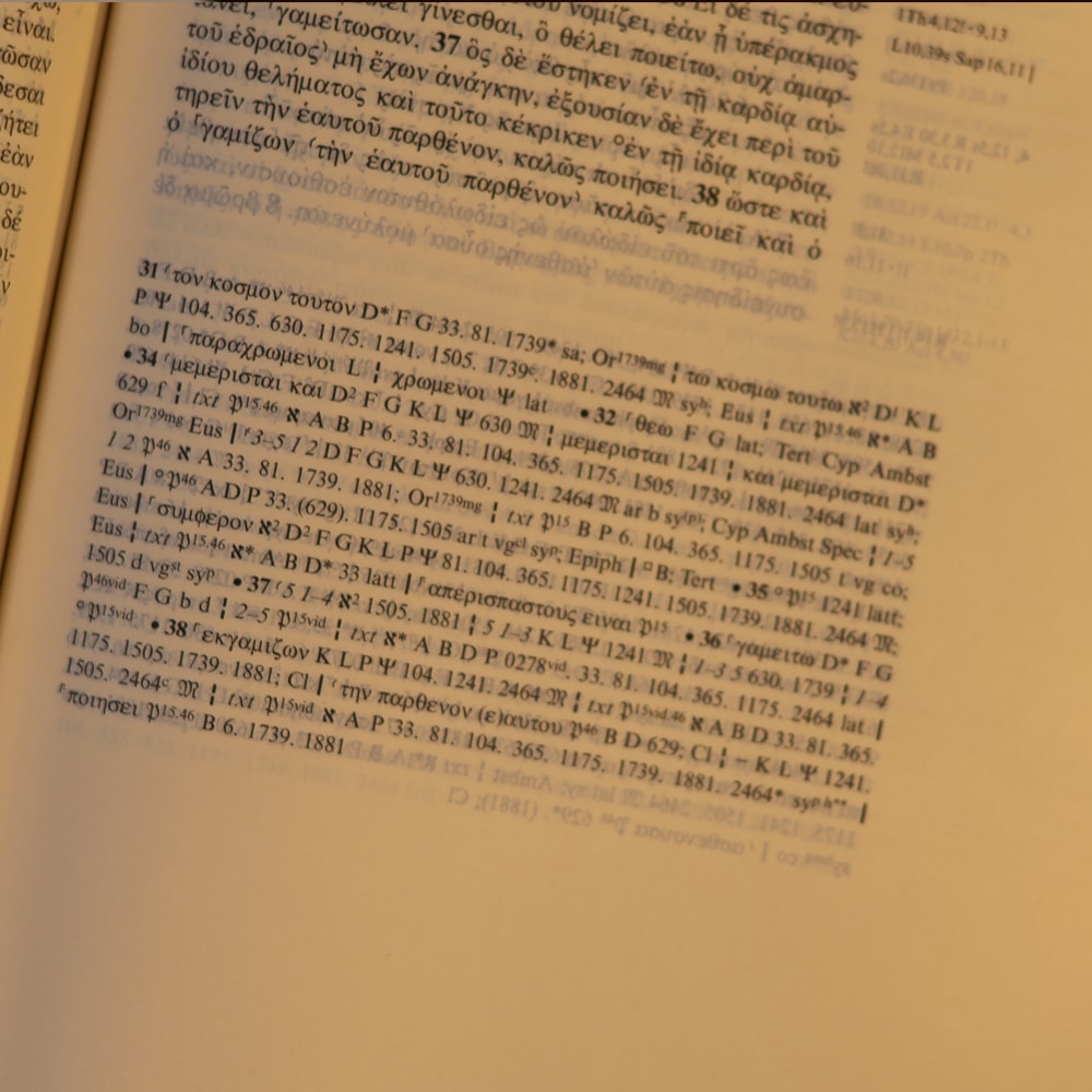 Novum Testamentum Graece | O Novo Testamento em Grego | Capa Dura Azul