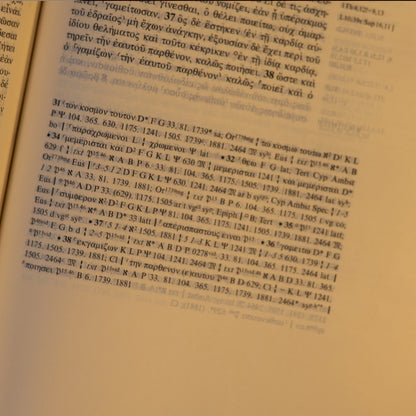 Novum Testamentum Graece | O Novo Testamento em Grego | Capa Dura Azul