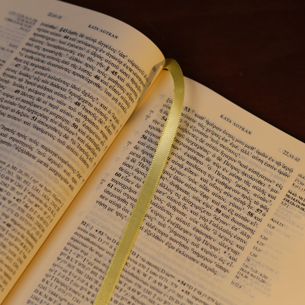 Novum Testamentum Graece | O Novo Testamento em Grego | Capa Dura Azul
