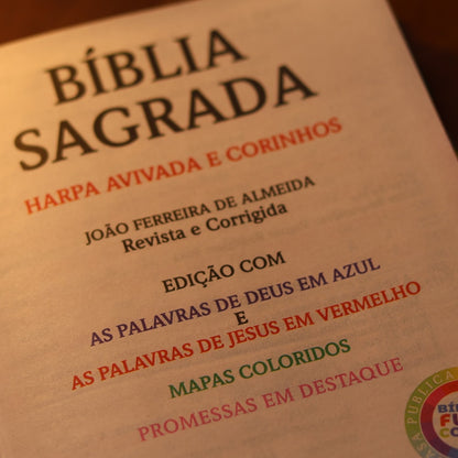 Bíblia Sagrada Leão Rosa | ARC | Letra Gigante | Harpa Avivada e Corinhos | Capa Dura Carteira