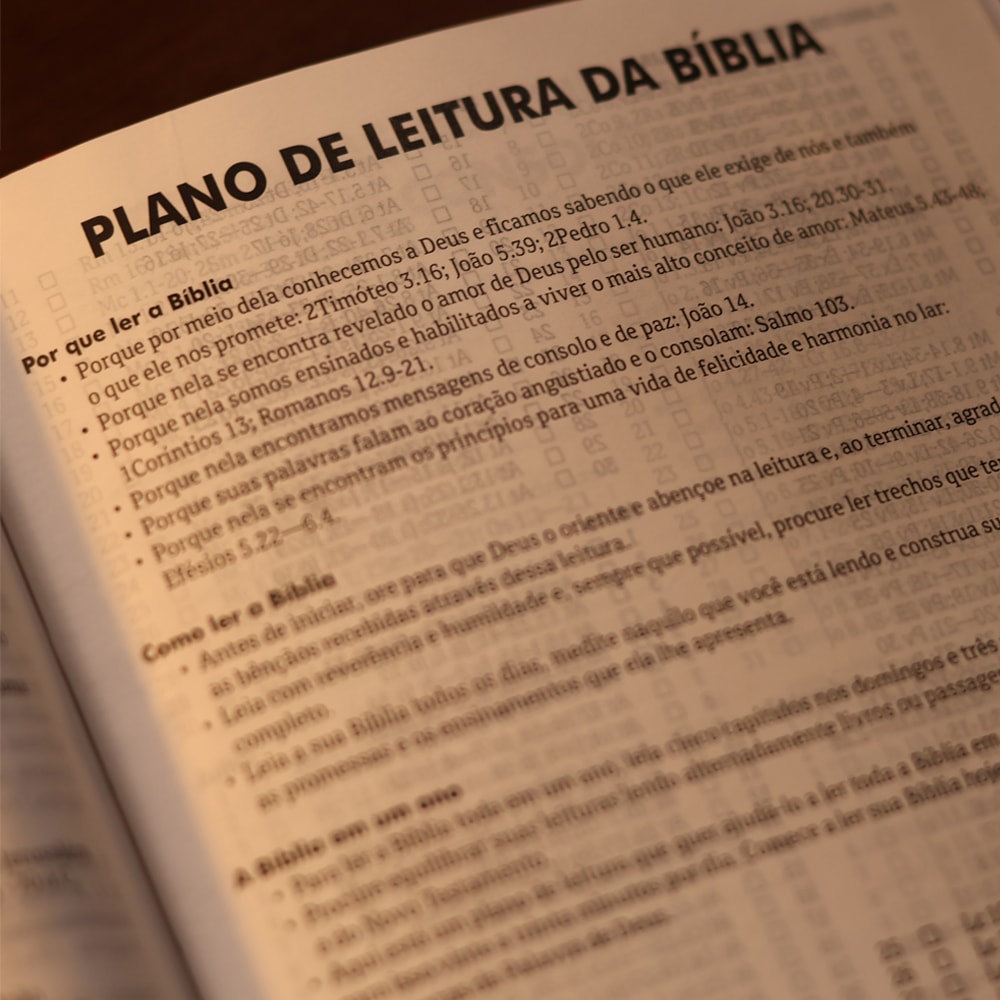 Bíblia Sagrada Pássaros | ARA | Capa Dura Azul Claro