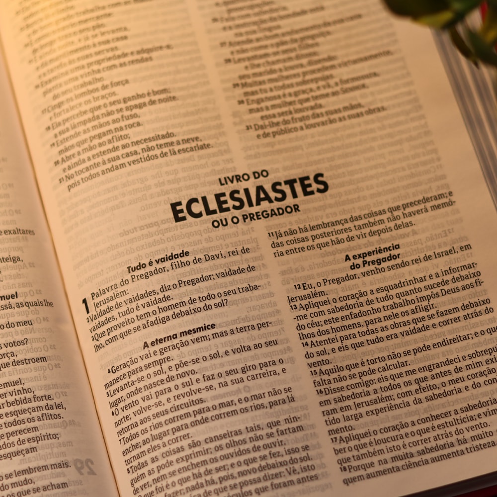 Bíblia Sagrada Pássaros | ARA | Capa Dura Azul Claro