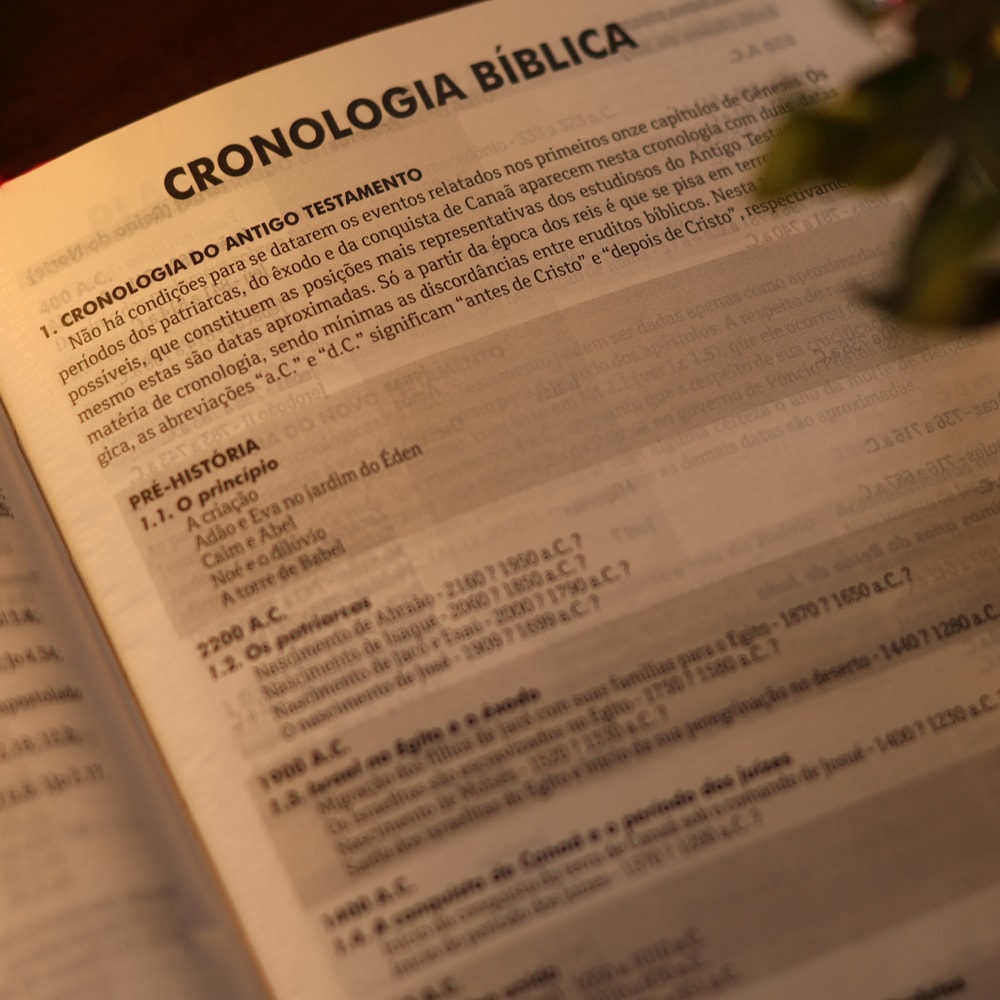 Bíblia Sagrada Pássaros | ARA | Capa Dura Azul Claro