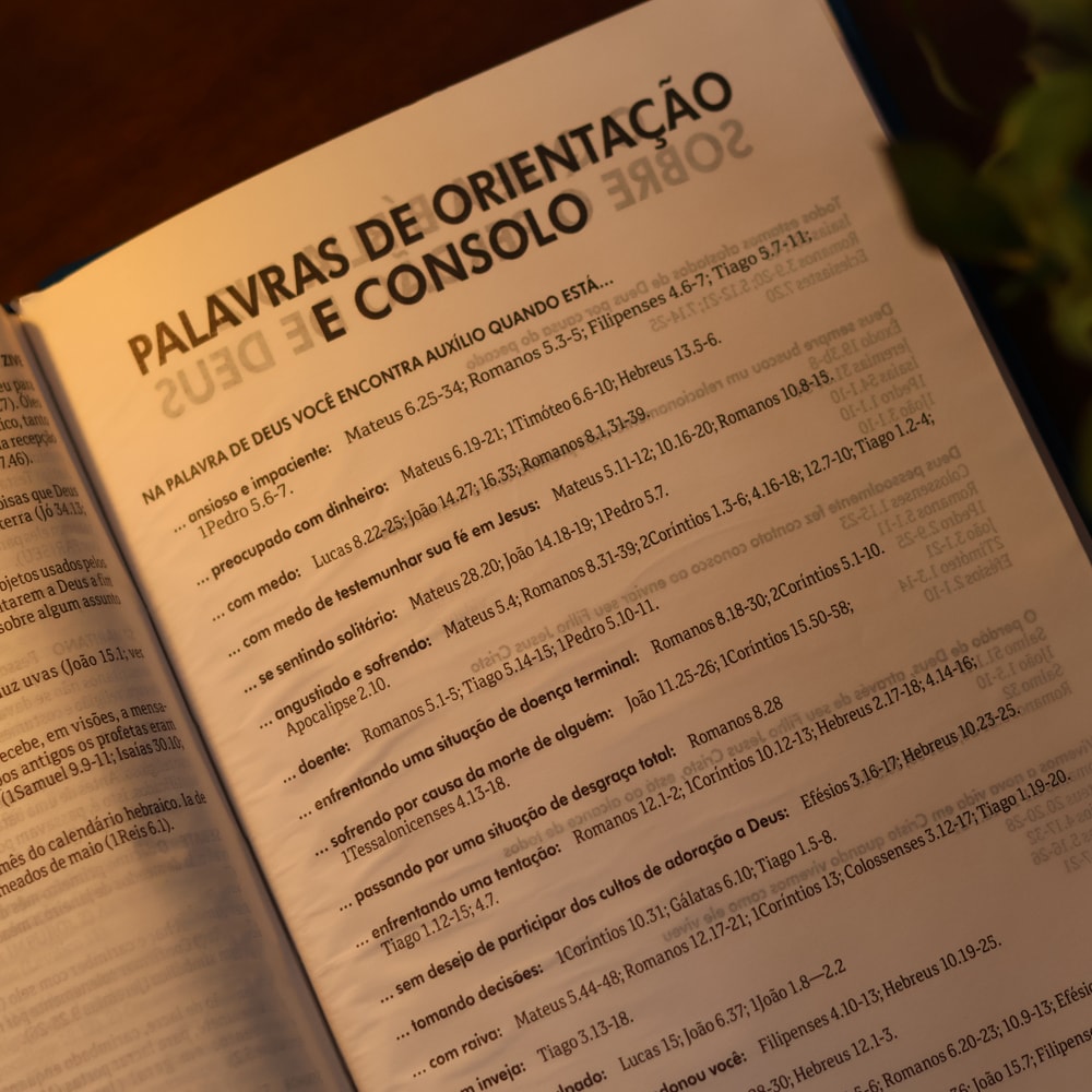 Bíblia Sagrada Leão de Judá | NTLH | Capa Dura Laranja