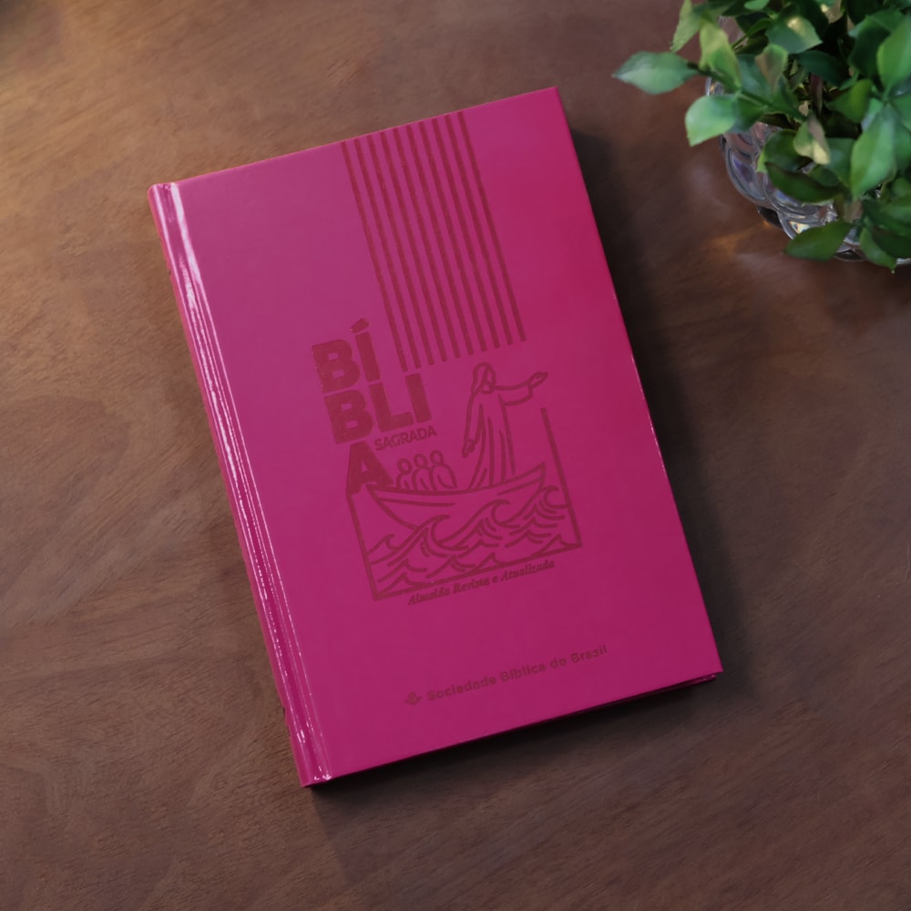 Bíblia Sagrada Jesus no Barco | ARA | Capa Dura Pink
