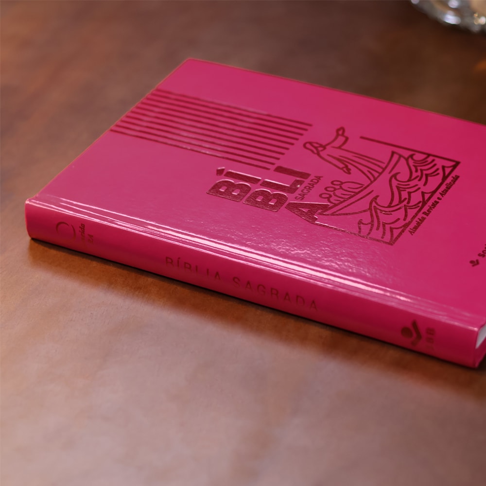 Bíblia Sagrada Jesus no Barco | ARA | Capa Dura Pink