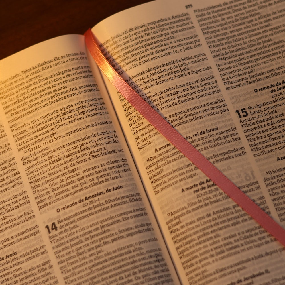 Bíblia Sagrada Jesus no Barco | ARA | Capa Dura Pink