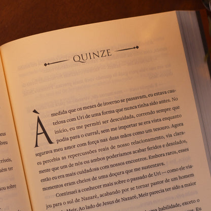 Milagre em Betânia | Heather Kaufman