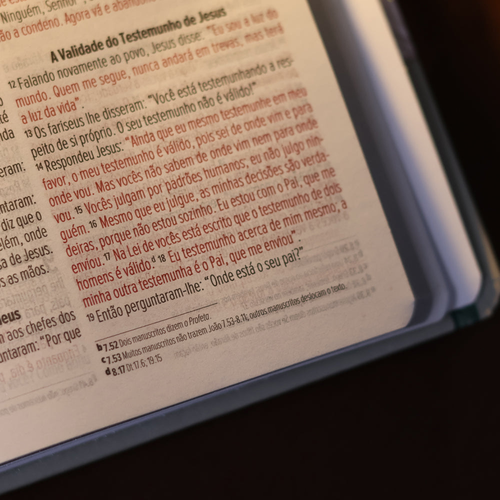 Bíblia Sagrada Lírios | NVI | Letra Maior | Capa Dura