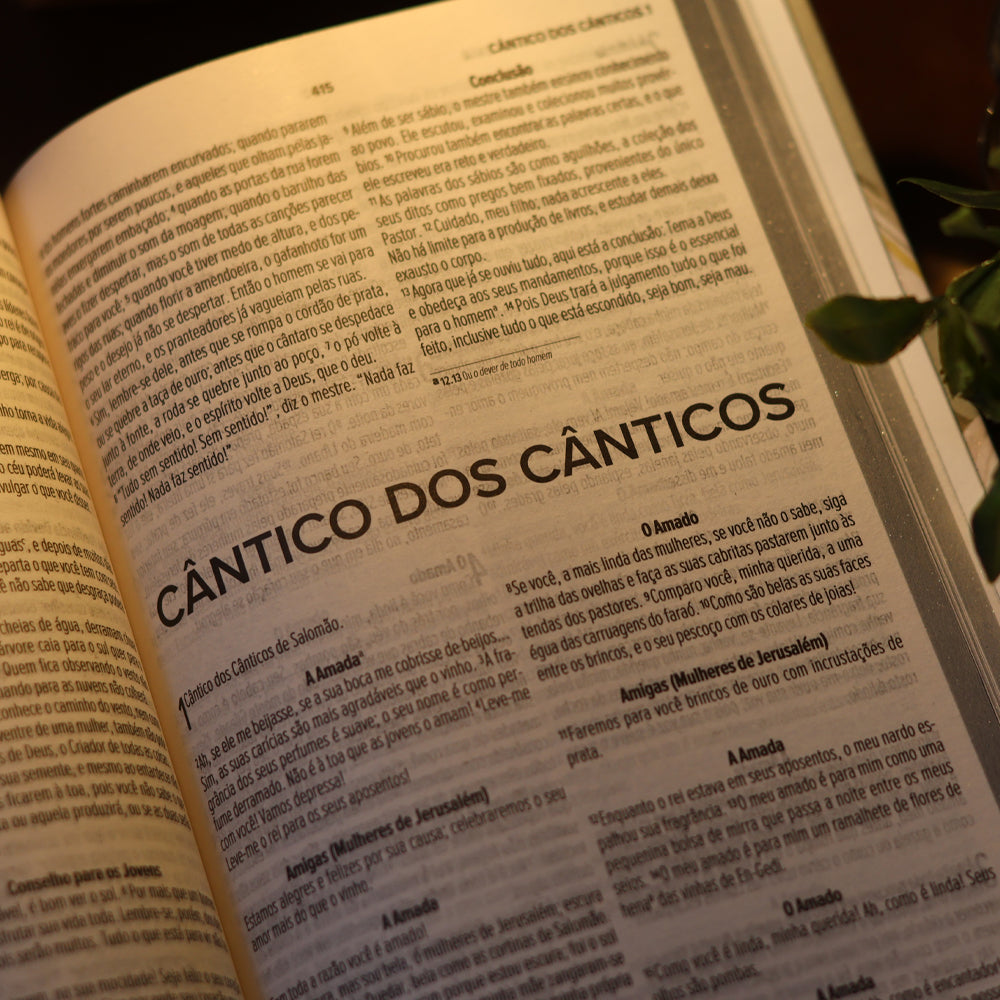 Bíblia Sagrada Lírios | NVI | Letra Maior | Capa Dura