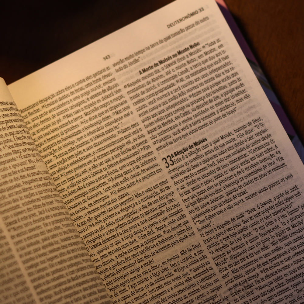 Bíblia Sagrada Lírios | NVI | Letra Maior | Capa Dura Rosa