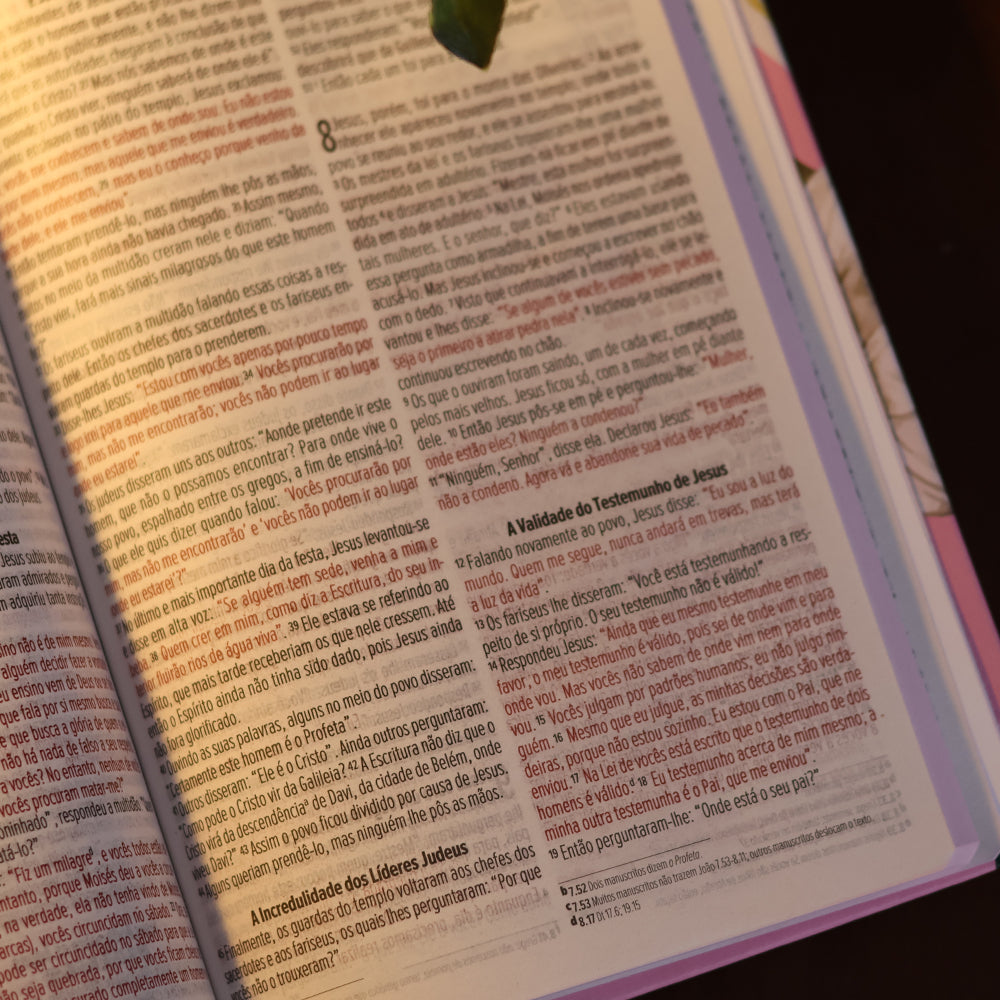 Bíblia Sagrada Lírios | NVI | Letra Maior | Capa Dura Rosa