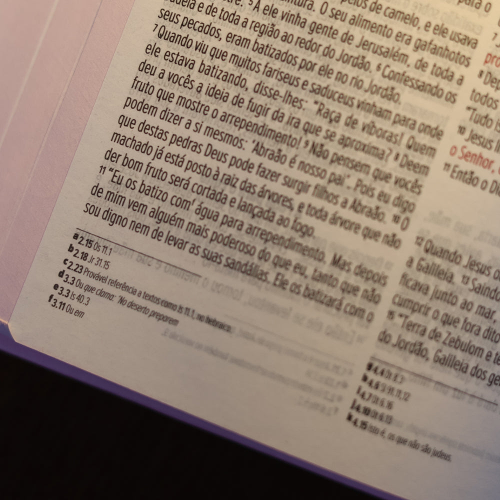 Bíblia Sagrada Lírios | NVI | Letra Maior | Capa Dura Rosa