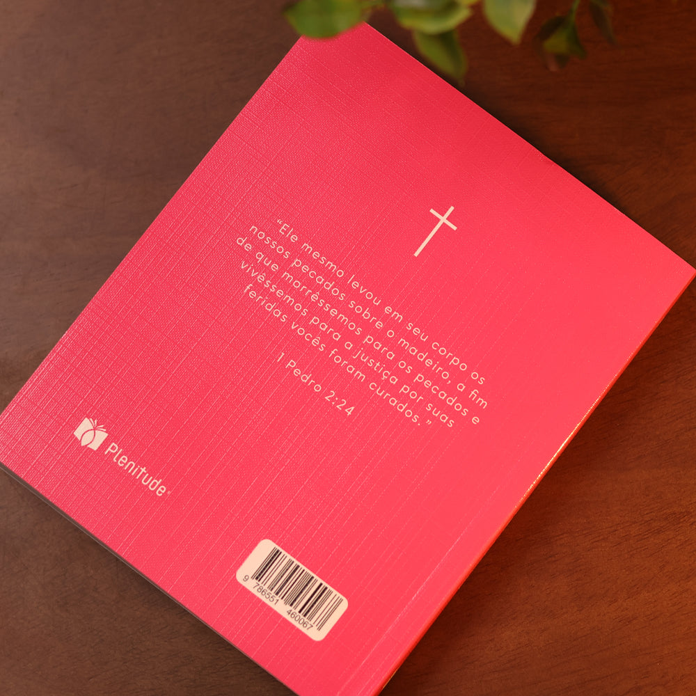 Bíblia Sagrada | NVI | Capa Brochura Cruz Rosa