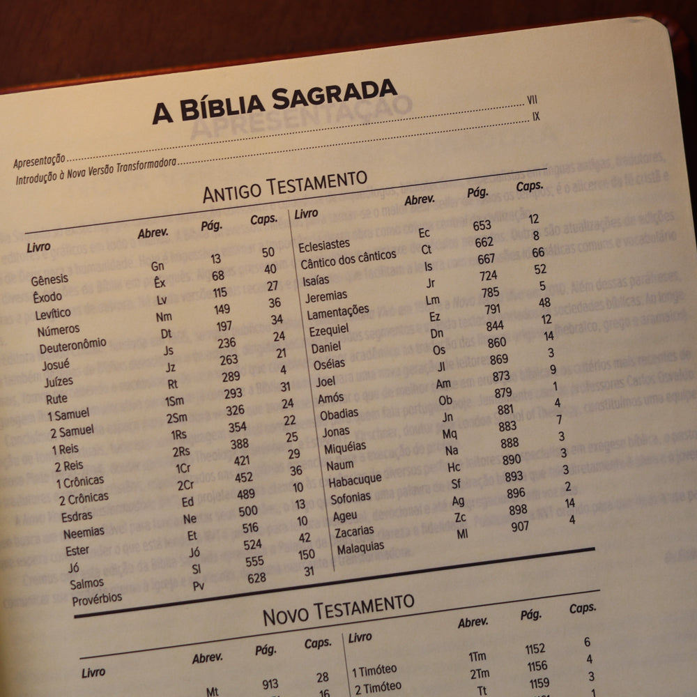 Bíblia Sagrada Leia e Anote Jardim | NVT | Letra Grande | Capa Luxo Marrom