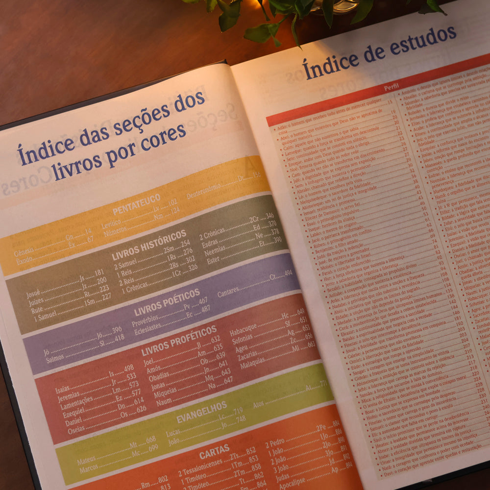 Bíblia de Estudo Para o Cotidiano do Homem | NVA | Full Collor | Capa Dura Bicolor