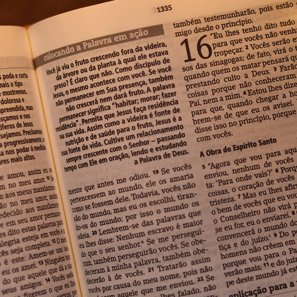 Bíblia De Estudo Joyce Meyer | NVI | Letra Grande | Capa Dourada