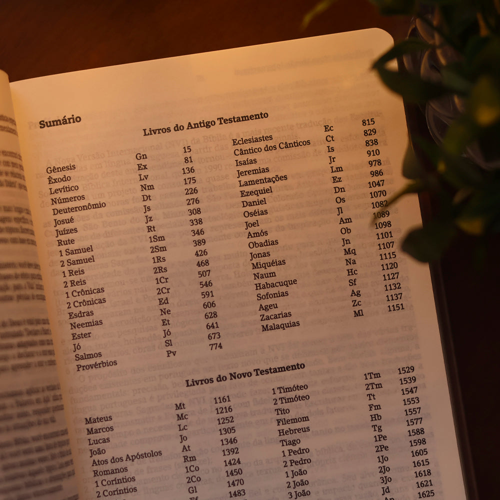 Bíblia De Estudo Joyce Meyer | NVI | Letra Grande | Capa Dourada