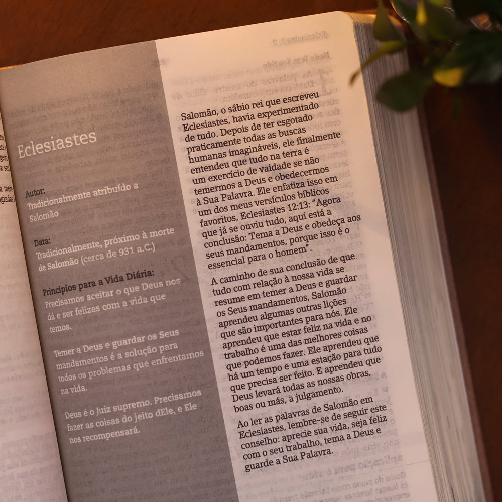 Bíblia De Estudo Joyce Meyer | NVI | Letra Grande | Capa Dourada