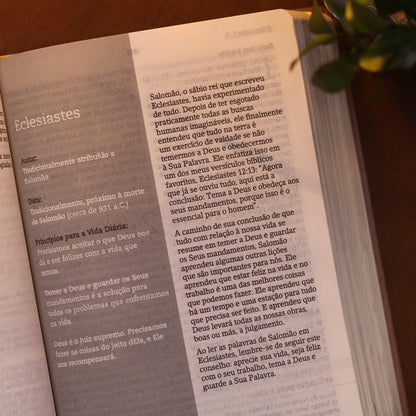 Bíblia De Estudo Joyce Meyer | NVI | Letra Média | Capa Dourada