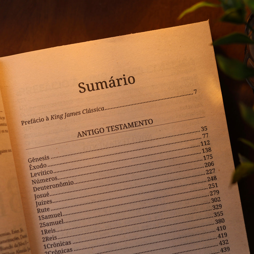 Bíblia Sagrada Sola Scriptura | King James | Letra Normal | Capa Brochura