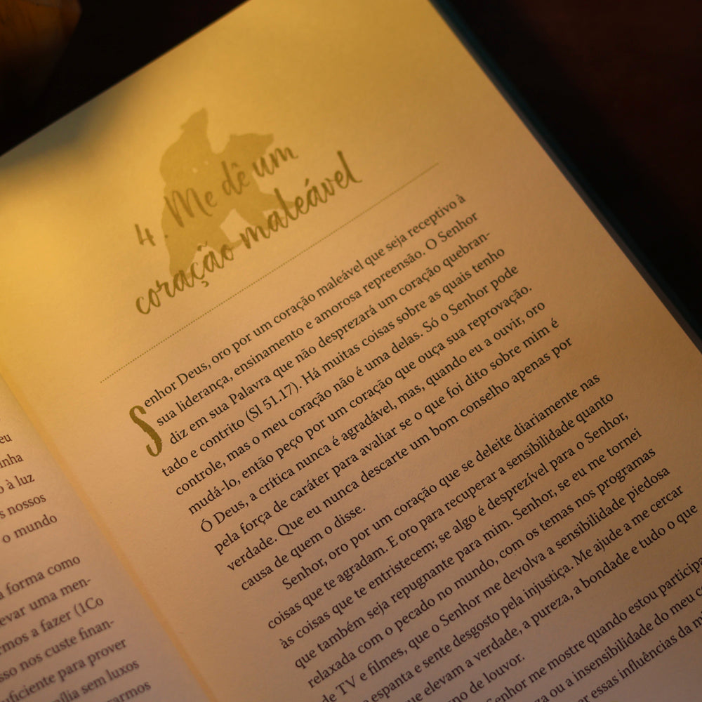 O Livro de Orações da Mamãe Ursa | Hillary Morgan e Ferrer Julie Loos