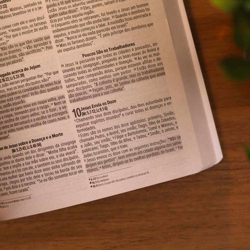 Bíblia Sagrada Romanos 12:2 | NVI | Capa Brochura