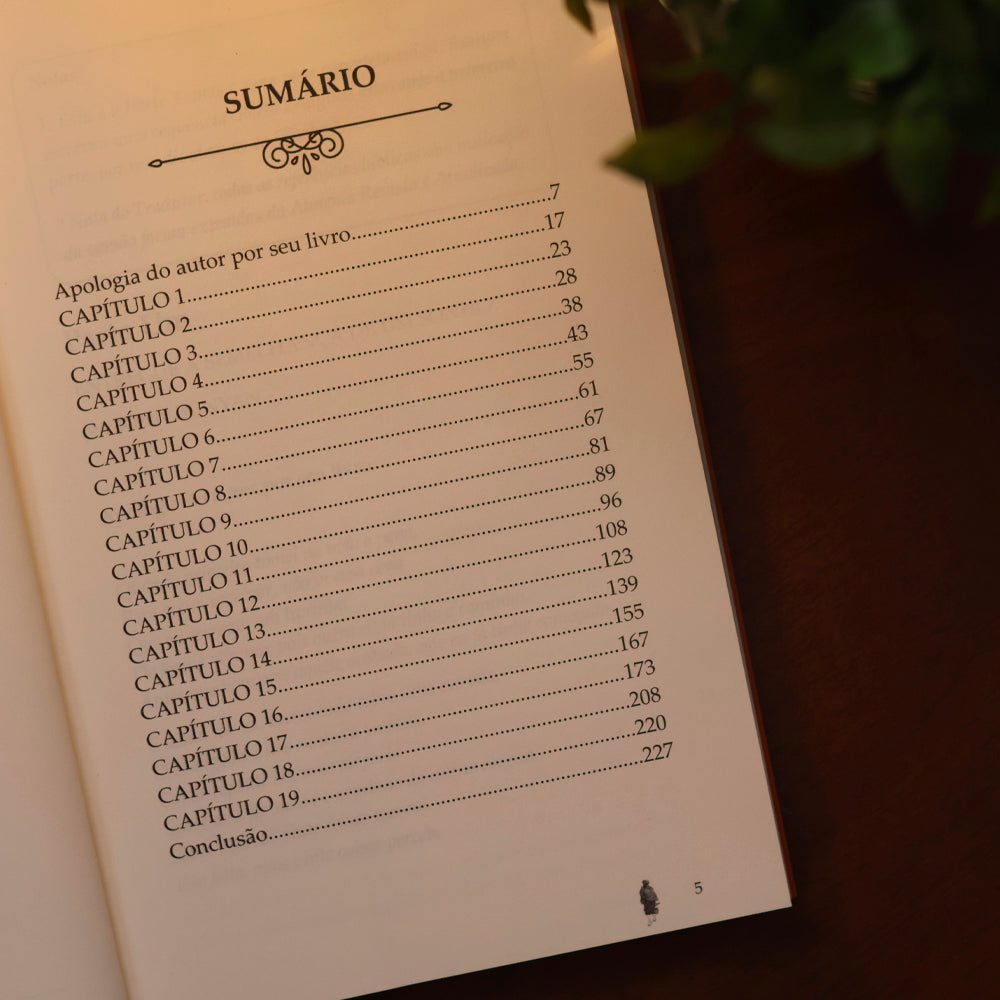O Peregrino | Clássicos da Literatura | John Bunyan