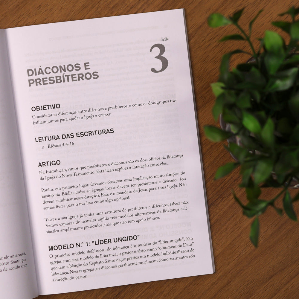 Diáconos Centrados no Evangelho | Robert H. Thune
